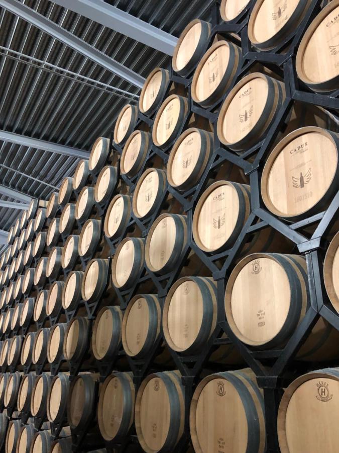 Apartamentos Ribera Del Duero Las Escuelas Vadocondes Kültér fotó